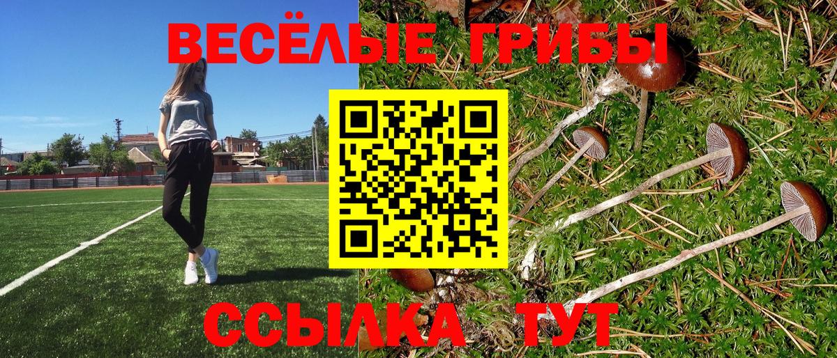 Галлюциногенные грибы ЛСД  Псилоцибиновые грибы мухоморы  Вход с VPN  Знаменск 
